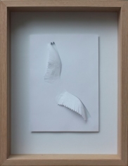 Peter Callesen - Wings of Paper II, 2015