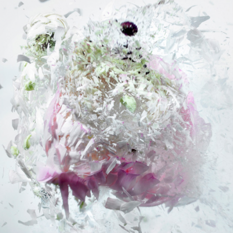 Martin Klimas, Exploding Flower (06), 2012