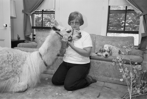 Deborah in living room with Snowy the llama and Winnie, Freedom, New Hampshire - 1993