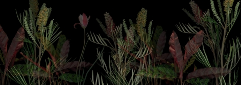 Exhibition Lab, Elizabeth Panzer - &quot;PlantScape Op.3&quot;, 2018